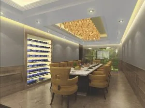 Read more about the article Contemporary home in Greater Kailash