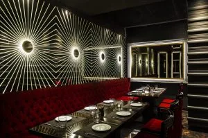 Read more about the article Palomino, Delhi